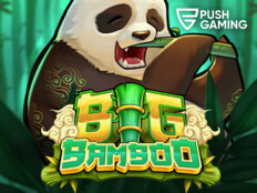 Big fish casino games16